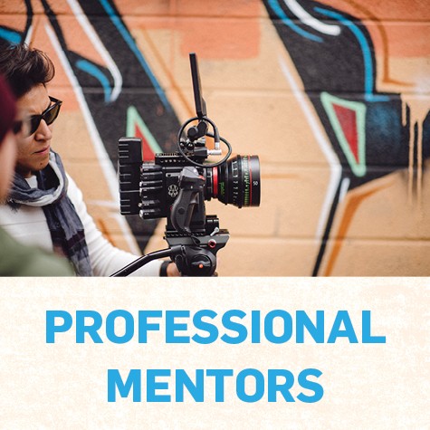 Professional Mentors