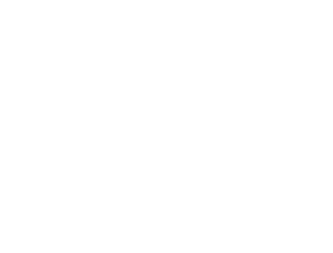 SEG Foundation