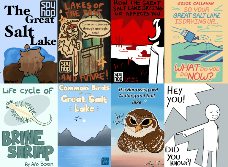 Eight digital zine covers, from left to right and top to bottom: 1) "The Great Salt Lake" featuring a drawing of someone staring off into the distance. 2) "Lakes of the past and future!" features someone opening a door with a text box saying "Come on a geologic journey through time!" 3) "How the Great Salt Lake Drying Up Effects You by Eddie Memmott" has a someone staring off into a lake with birds and plants. 4) "Josie Callahan, so your great salt lake is drying up... what do you do now?" and features a hand with a watering can raining water down onto the lake. 5) "Life cycle of a brine shrimp by Arlo Bevan" has a brine shrimp illustrated on the front. 6) "Common birds of the great salt lake" features a drawing of the lake, with birds flying in the distance. 7)"the burrowing owl at the great salt lake, Amy Flores" features a burrowing owl saying "woot woot" 8)"Hey you! Did you know?!" and an illustrated person pointing at the text bubbles.